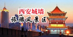 尻韩国B中国陕西-西安城墙旅游风景区